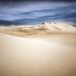Oregon Sahara by Stan Newman