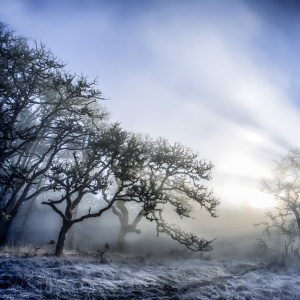 Let There be Light by Stan Newman